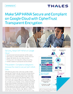 SAP Hana Secure